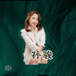 孙骏